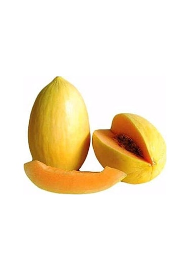 10+ Adet Crenshaw Çok Tatlı Kavun Tohumu