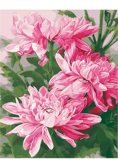 Xiyyadms 30x40cm Dıy Rakamlı Boyama Tablosu - Papatya Desenli Dekoratif Yağlı Boya - Çerçevesiz Gx3328