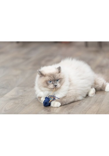 Trixie Kedi Oyuncağı, Deniz Canlıları Şeklinde, Peluş, Kediotlu 5-8cm