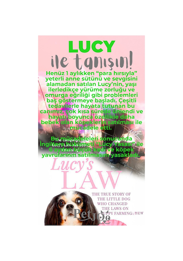 Petjoo 11.Lucy Gri-Yeşil Qr'lı Köpek Künyesi