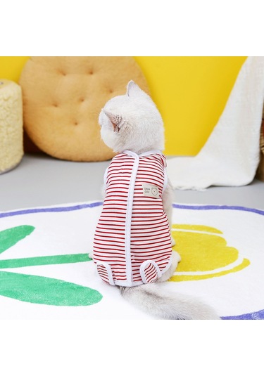 Hangfox Kedi Cerrahi Sonrası Kıyafeti - Doğum Sonrası Koruma Giyimi, Yara Yalama Engeli, Veteriner Onaylı 23'lü Paket Kırmızı Çizgili
