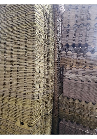 10 Adet 30'lu Karton Yumurta Viyolü 10 Adet Toptan Viyol