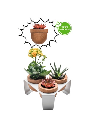 Halohope Metal Stantlı 3'lü Skulent Saksısı Beyaz Saksılık