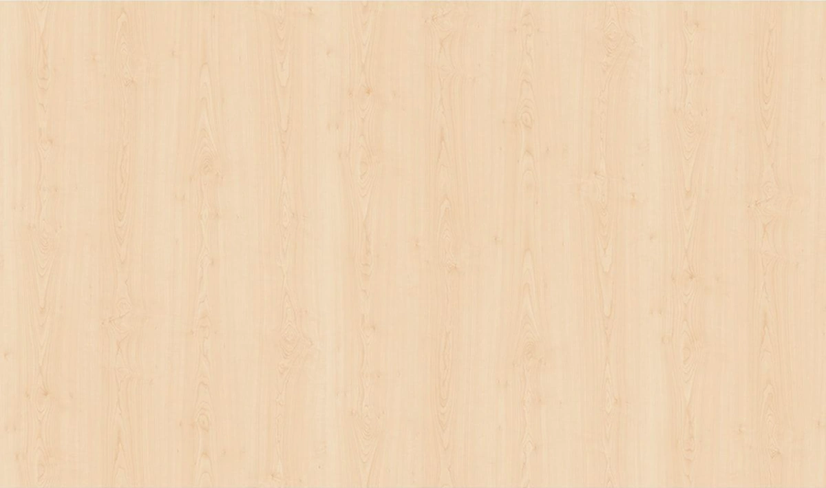 Asra Trend Akça Ağaç Ayakkabılık A-24 Çok Renkli