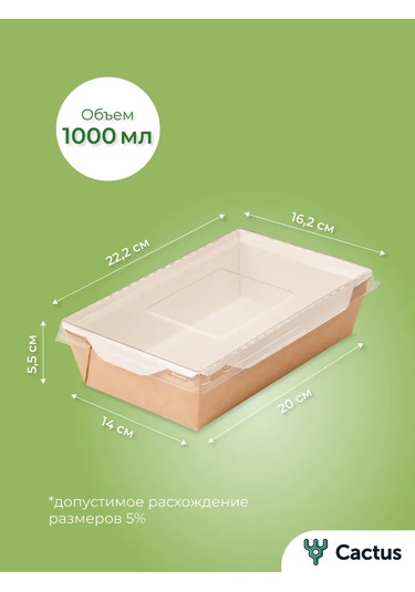 Cactus Tek Kullanımlık Trigloff Kutu, 1000 Ml Yemek Kapları 224868225 100 adet