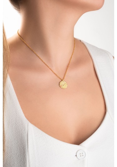 Kova Burcu 18 Ayar Sarı Altın Kaplama 45 Cm Gümüş Kolye Sarı