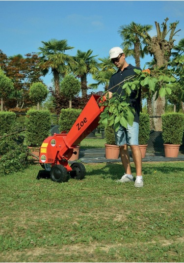 Agrinova ZO50B2-V Zoe Dal Öğütme Makinesi