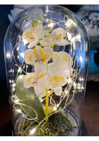 Faunus İçerisinde Işıklı Yapay Beyaz Orkide Anneler Günü Özel Hed