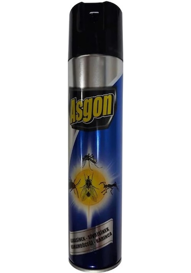 Asgon Haşere Öldürücü Sprey Aerosol 300 ML