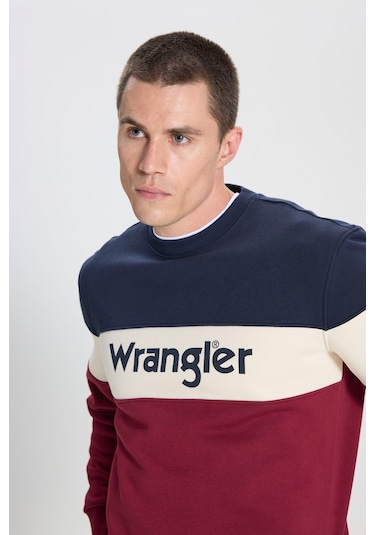 Regular Fit Normal Kesim Bisiklet Yaka İçi Polarlı Bordo Sweatshirt Çok Renkli