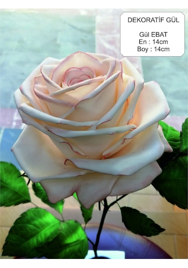 Dekoratif Gül Ambiyans