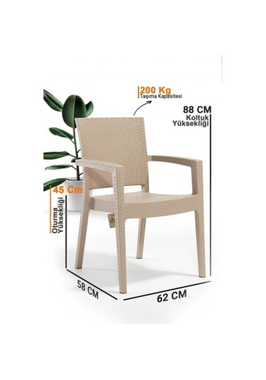 4'lü Set Rattan Victor Kollu Sandalye Koltuk Kapuçino Bej