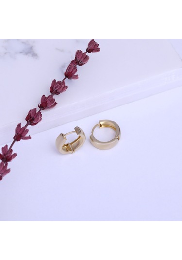 Nox Jewelry 925 Ayar Gümüş Minimal Halka Hoop Küpe - E00264 Gold