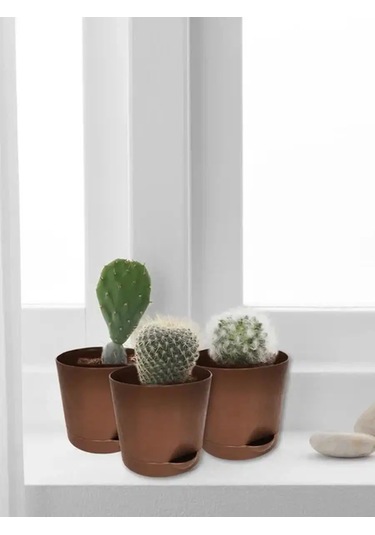 Interm Kaktüs Saksısı Minik Succulent, Menekşe Ve Çiçekler İçin Saksı 133193596
