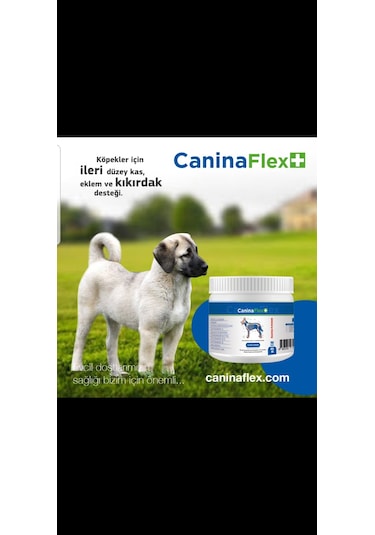 Canina Flex Collagen Glukozamin 3 x 350 G