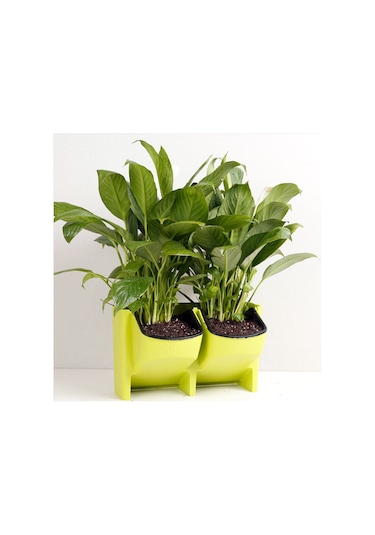 Pp Ekici Saksı Duvar Asma Bahçe Asılı İstiflenebilir Bahçe Malzemeleri Yeşil