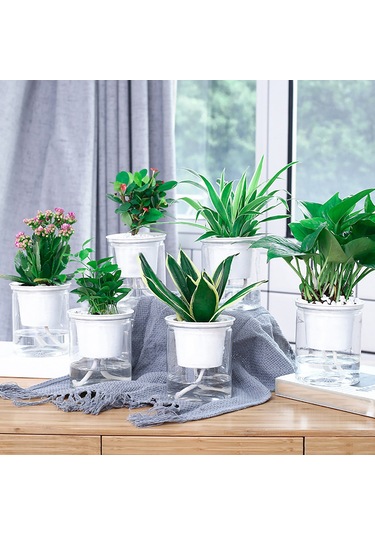 Lebihmurah 2099 Helloworld Saksı Vazo Dekoratif Görünür Su Seviyesi Bitki Tutucu