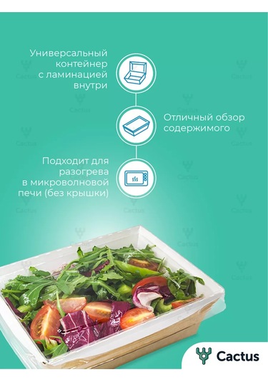 Cactus Tek Kullanımlık Trifle Kutuları, 800 Ml Gıda Kapları 224868223 100 adet
