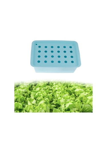 Suntek Parterre Bahçe Marul Mavisi Için 24 Site Fidanlık Mavi