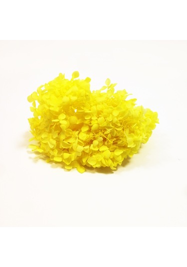 Kurutulmuş Çiçek - Sarı