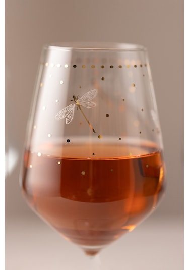 Rakle Dragonfly 4'lü Su Kadehi Seti 430 Cc Renkli