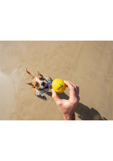 Waboba Fetch Suda Zıplayan Top Köpek Oyuncağı