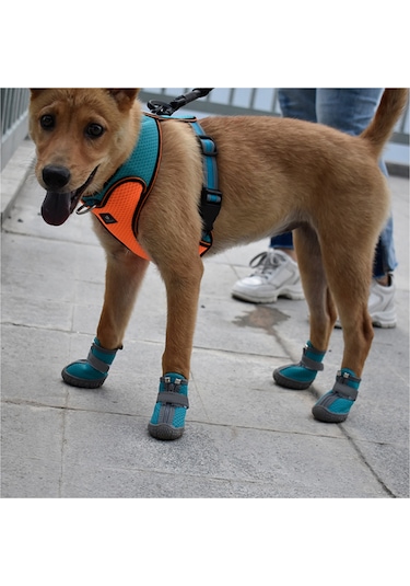 Xindoker Küçük Köpekler İçin Nefes Alabilir Yürüyüş Ayakkabısı, Gece Görünürlüklü Pati Koruyucu, 4'lü Set, Kahverengi
