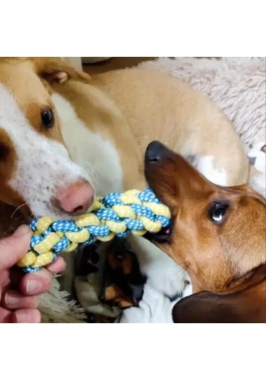 Valkyrie 7 Parça Köpek Halat Oyuncak Seti Isırma Çekiştirme Eğitim Toplu İp Oyuncağı