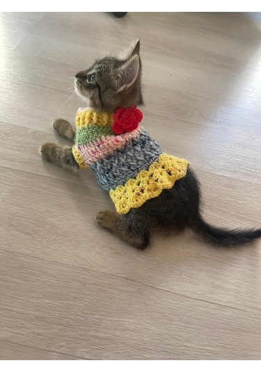 Pati Kedi Köpek Örme Fırfırlı Elbise Renkli Giyim Pet