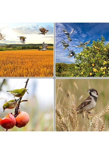 Vkemall Güneş Enerjili N911q Kuş Ve Hayvan Kovucu - Gündüz Zamanlı Ses Ve Işık Sistemi - Bahçe, Havuz, Tarlalar İçin Siyah