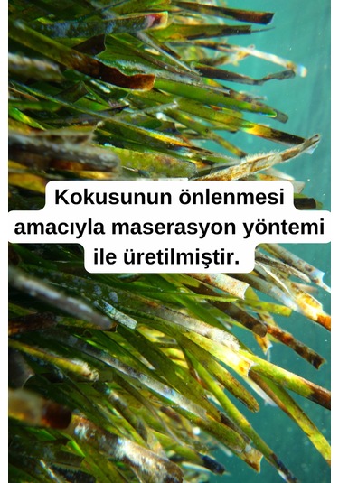 Yosun Yağı - 2 X 20ml 20 ML