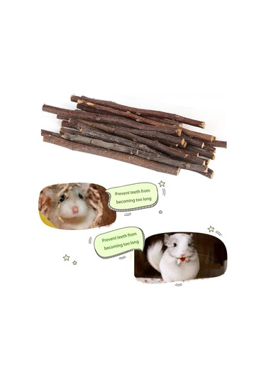 Kemirgenler için Elma Ağacı Dalı