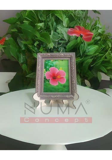 Ahşap Beyaz Çerçeve Ayaklığı Her Biri 22x15 Cm Geçmeli Stand