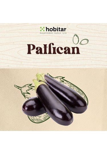 Hobitar Hesaplı Sebze Manavı Tohum Paketi - 5 Çeşit Sebze Tohumu