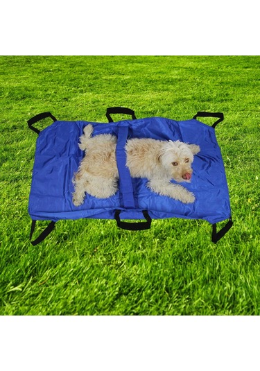 Suntek Kediler, Köpekler Ve Yavru Kediler İçin Hafif Evcil