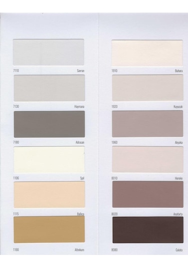 Fbs Exterio Silikonlu Dış Cephe Boyası 3.5 Kg Akasya Diğer