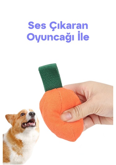 Köpek Aktivite Topu Mama Saklama Ve Çiğneme Oyuncağı