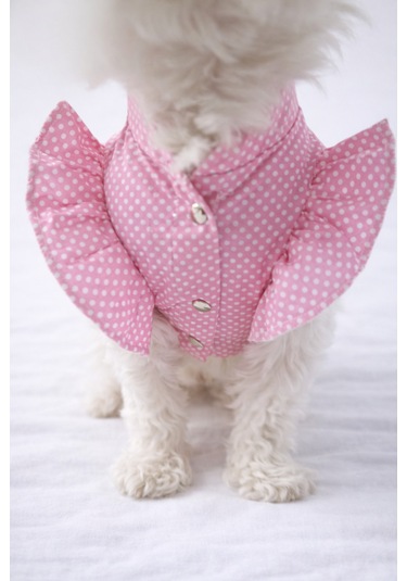 Puantiyeli Kedi Köpek Poplin Elbise