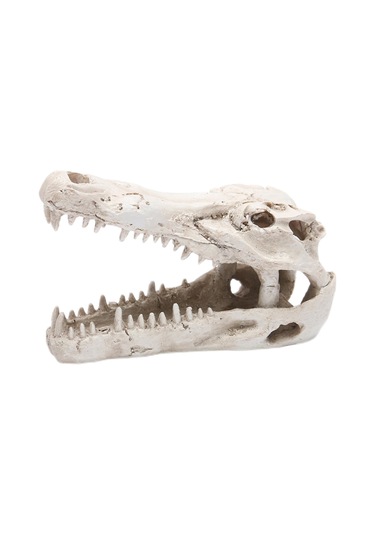 Suntek Dinozor Balık Tankı Süslemeleri Süs Ev Triceratops Akvaryum Heykeli