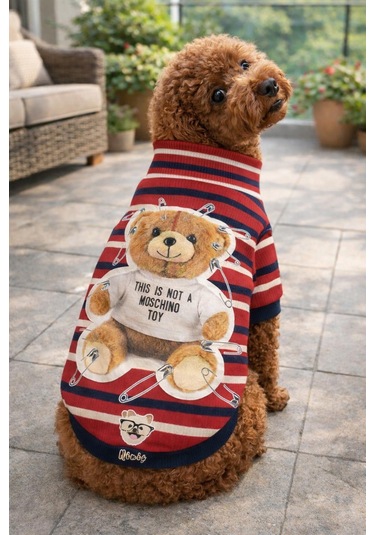 Toy Teddy Esnek, Küçük Köpek Triko Sweatshirtü