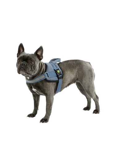 Belden Köpek Tasması Maestro 2.0 S  45-60 cm x 15 mm Mavi