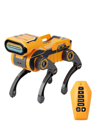 Robot Köpek Robo Dog Teslimat Robotu