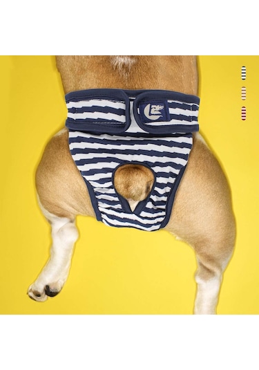 Pet Çizgili Fizyolojik Pantolon Köpek Adet Pantolonu, Boyut: S Mavi