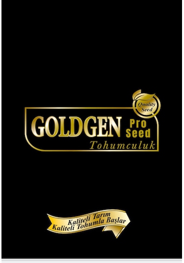 Goldgen Falcon Domates Tohumu 1 Paket