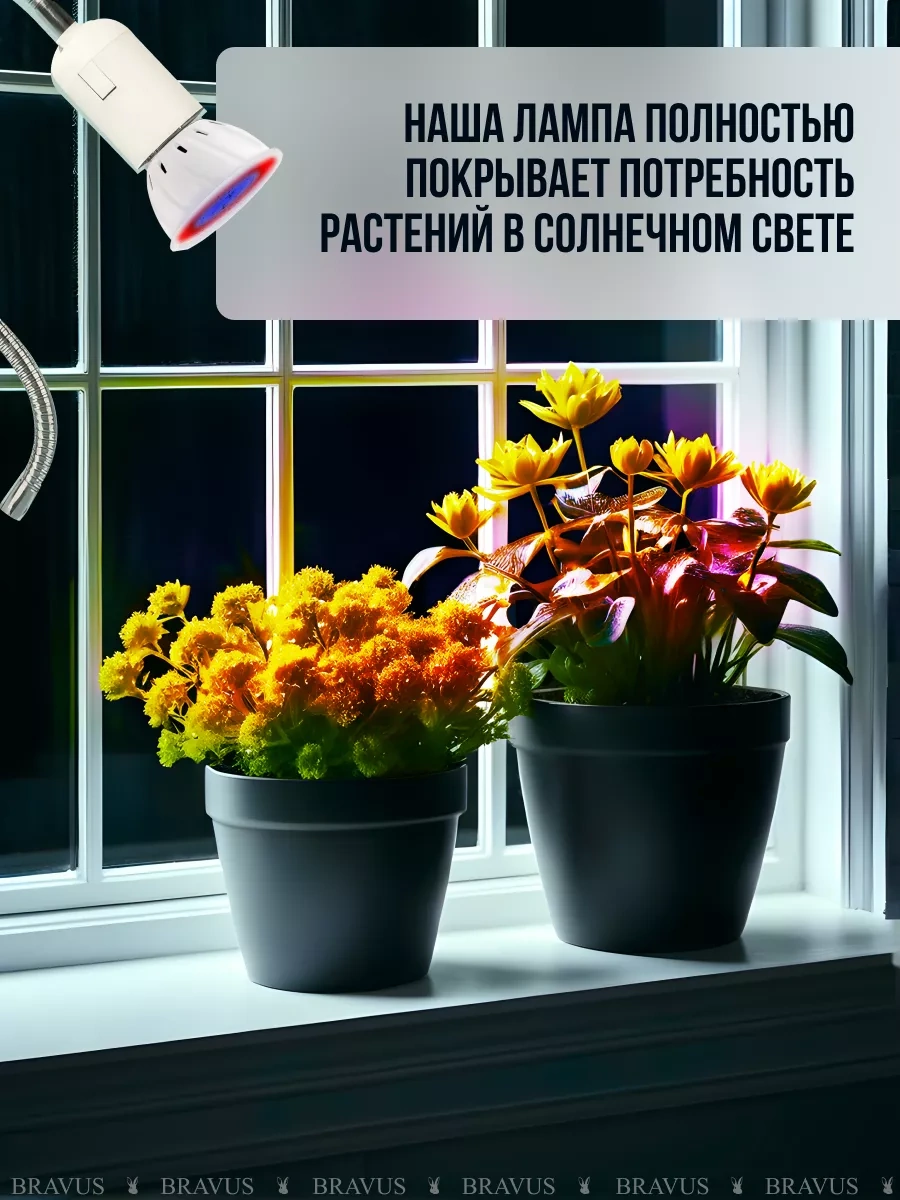 Bravus Fitolift Bitkileri İçin Fideye Uygun Uv Kelepçeli Lamba 196481213 Kırmızı