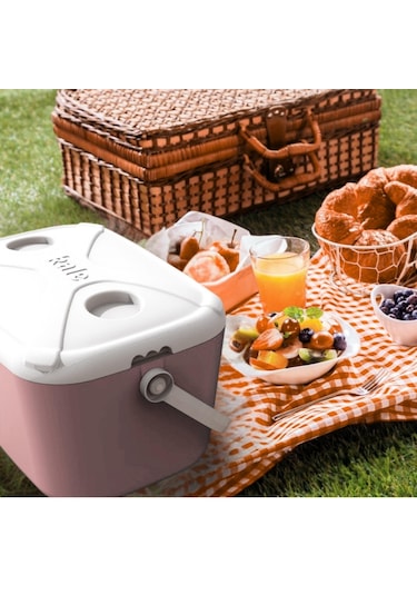 Buzluk Termos Set-30 Lt Buzzy Buzluk Termos 1178 Cooler Box + 2 Adet K-250 Buz Aküsü Pembe