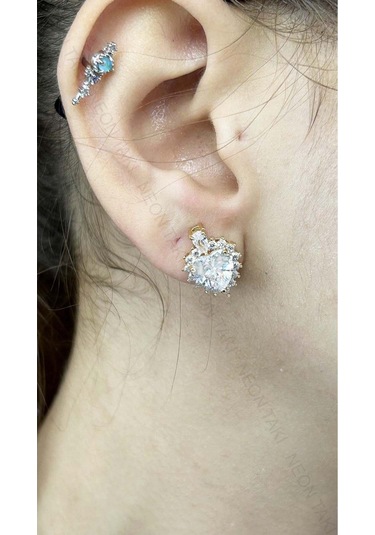 Zirkon Taşlı, Paslanmaz Çelik Küpe 39, Altın Renk Altın