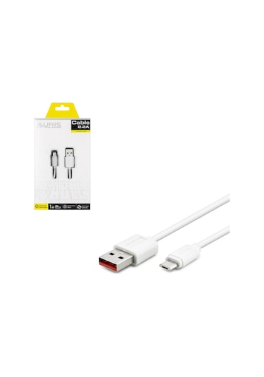 Şarj Kablosu Data Fast Micro 2.2A 1Mt Auris Ars-Cb01