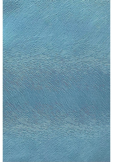 Enesar Home Tay Tüyü Premium Döşemelik Kumaş Taytüyü Mavi 100 x 140 cm