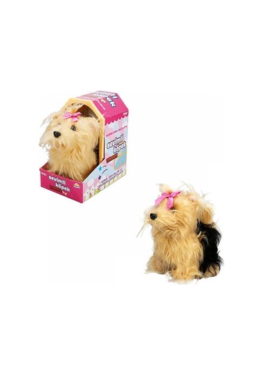 Sunman Sevimli Köpek Terrier